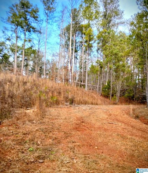 lot-10-10 Foster Cir, LINEVILLE, AL, 36266-9047 | Card Image
