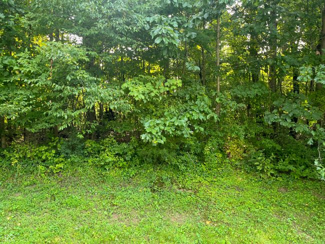 2665 S Gayle Dr, Home with 0 bedrooms, 0 bathrooms and null parking in Morgantown IN | Image 4