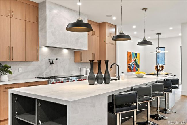 1238 S Saint Paul St, House other with 4 bedrooms, 6 bathrooms and 3 parking in Denver CO | Image 24