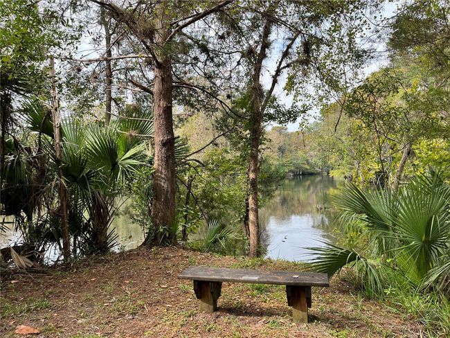 3067 Ne 102 Nd Avenue Rd, House other with 1 bedrooms, 1 bathrooms and null parking in SILVER SPRINGS FL | Image 90