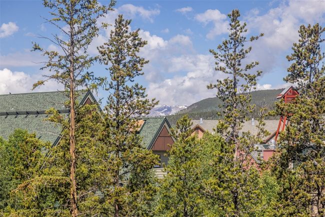 W403 - 75 Hunki Dori Ct, Condo with 2 bedrooms, 2 bathrooms and null parking in KEYSTONE CO | Image 9