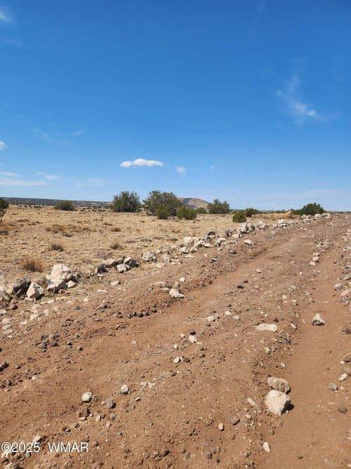 TBD 202c, Concho, AZ, 85924 | Card Image