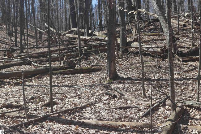lot 19 Crystal Ridge Dr, Home with 0 bedrooms, 0 bathrooms and null parking in Beulah MI | Image 4