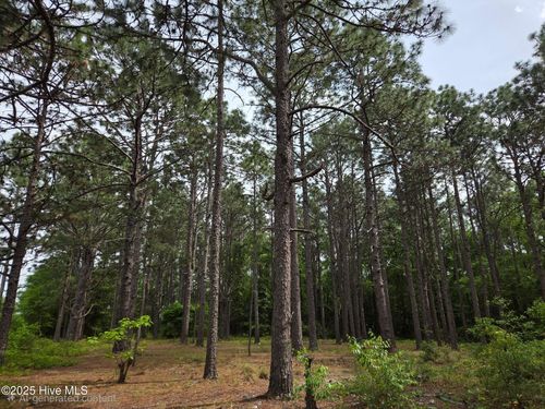 00 Patton Street Ext, Hamlet, NC, 28345 | Card Image