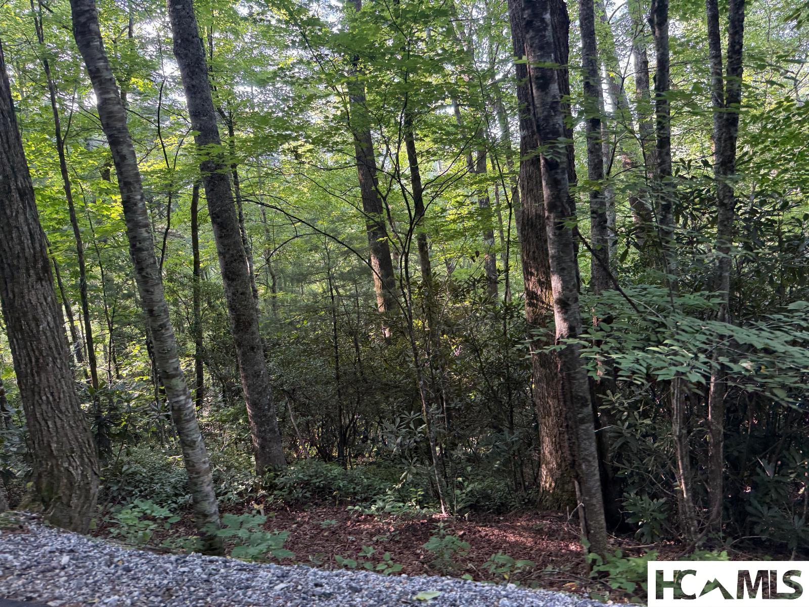 Land in Glenville 5