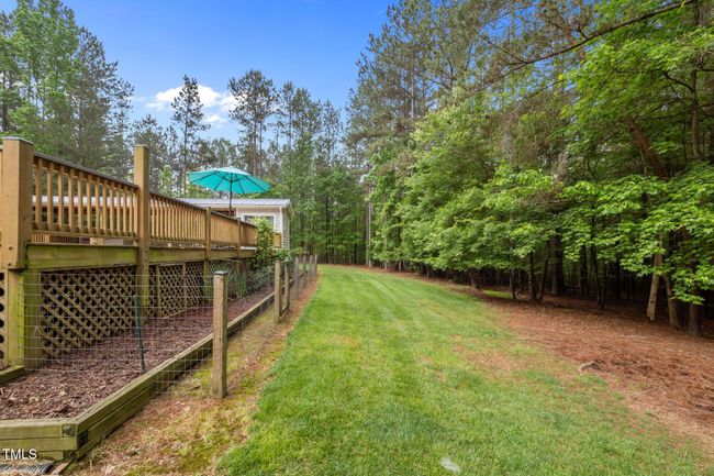 Backyard | Image 48