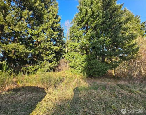 0 Clinton Rd, Chehalis, WA, 98532 | Card Image
