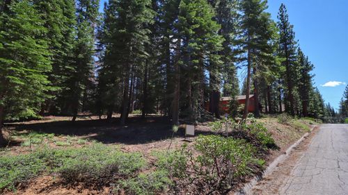 1491 Skyline Drive, South Lake Tahoe, CA, 96150 | Card Image