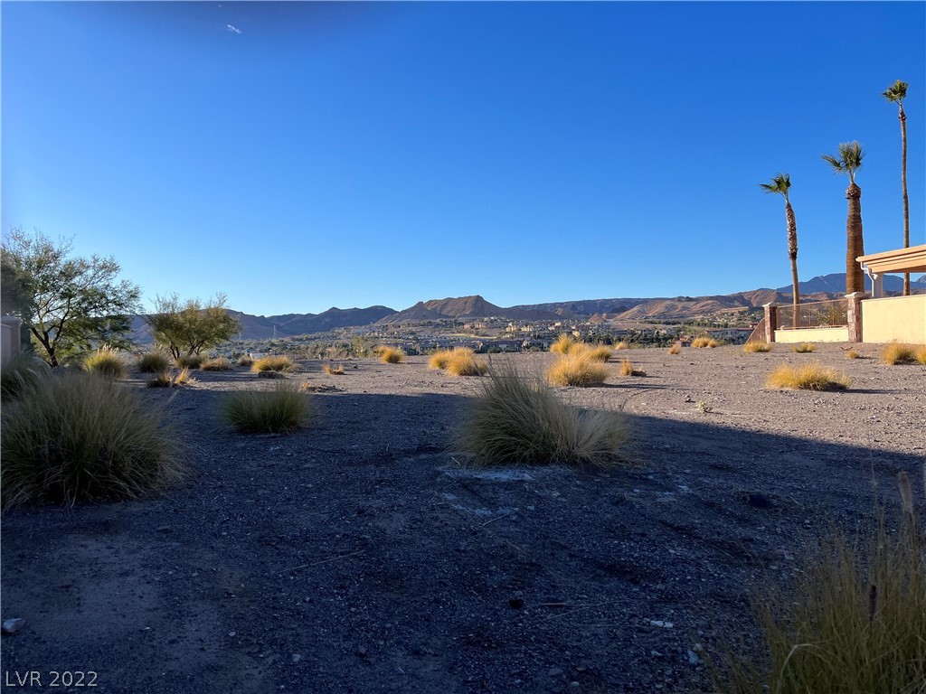 Land in Henderson 4