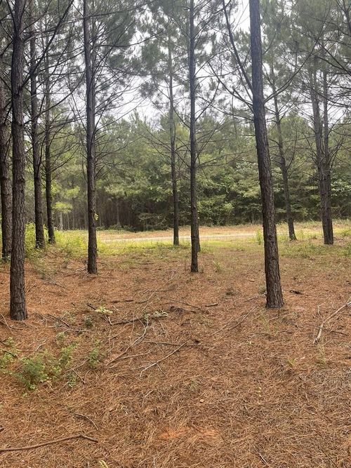 TBD County Road 1090, Center, TX, 75935 | Card Image
