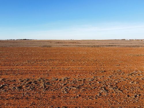 6695 Tiger Rd, Ropesville, TX, 79358-5403 | Card Image