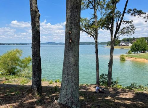 3608 Ferry Crest Way, Baneberry, TN, 37890-4949 | Card Image