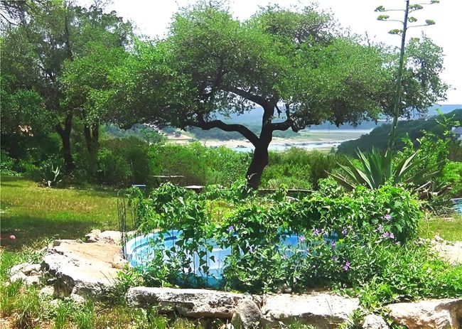 View of yard | Image 31