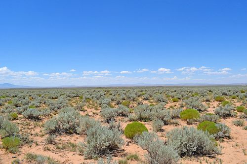 9e-Lot 89 Rancherita Rd, Los Lunas, NM, 87031 | Card Image