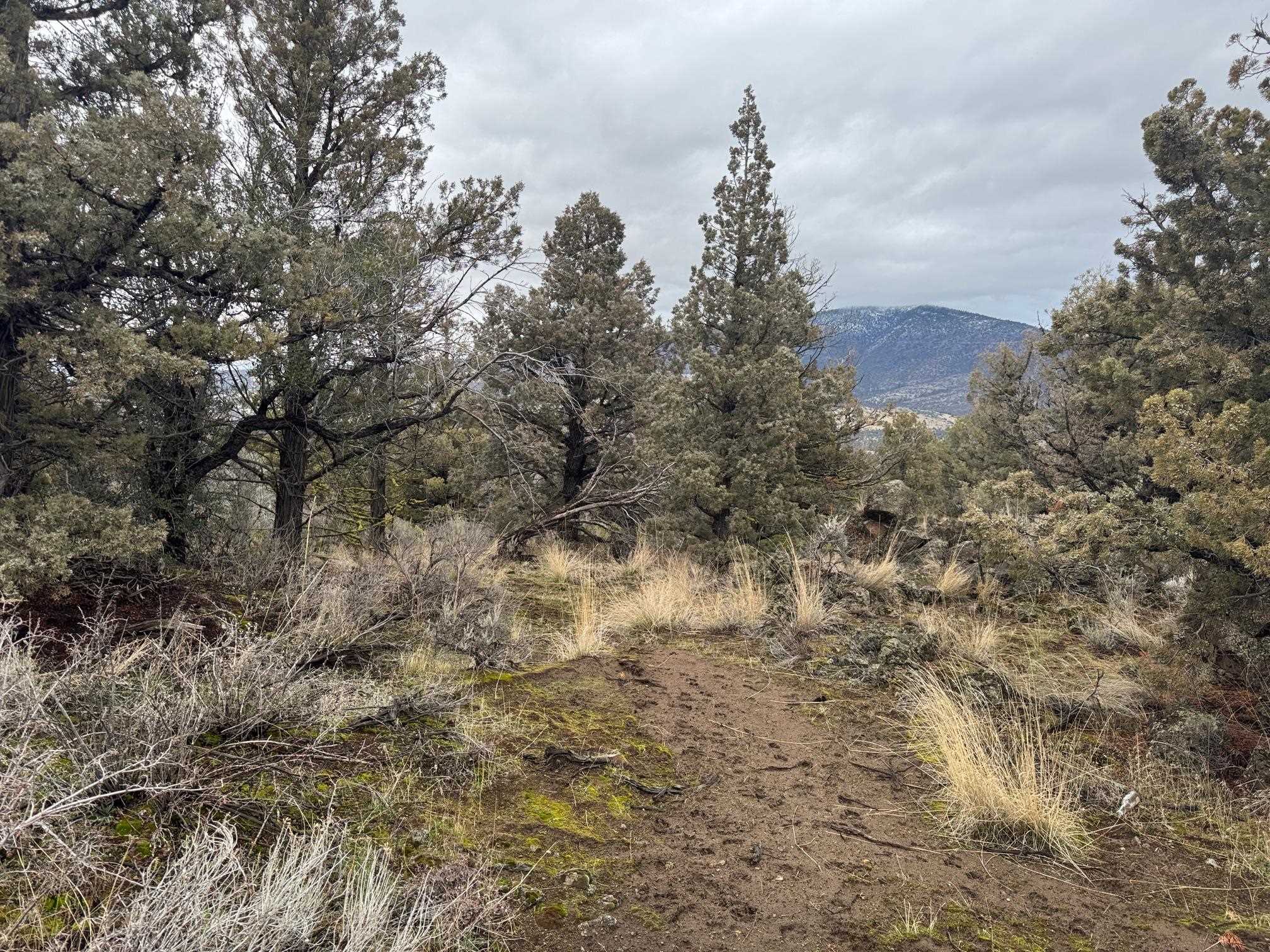 Land in Montague 3