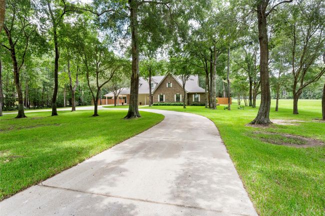 Park-Like setting with over 50 beautiful trees on the property. | Image 5
