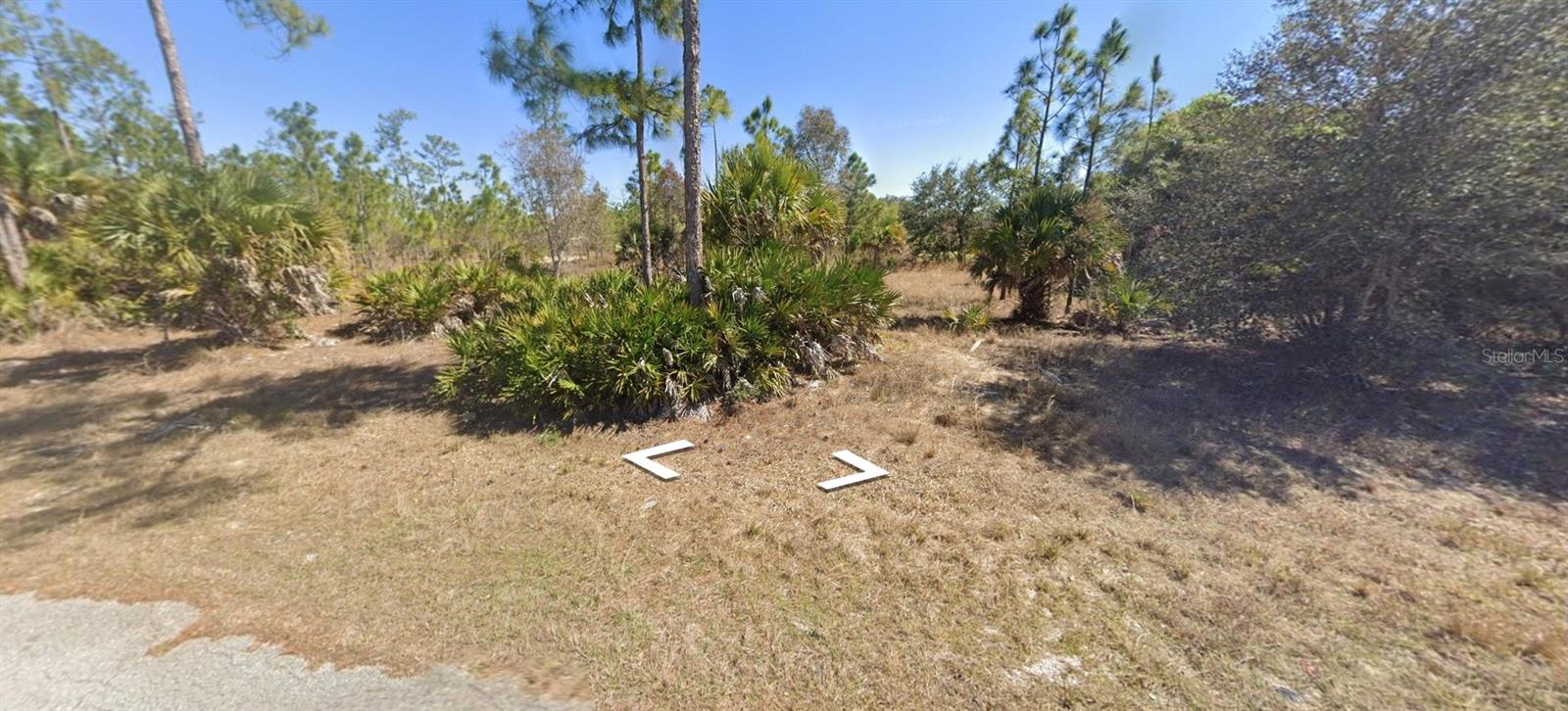 Land in LEHIGH ACRES 2