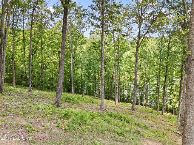 6 Shanghai Landing Ln, Home with 0 bedrooms, 0 bathrooms and null parking in La Follette TN | Image 13