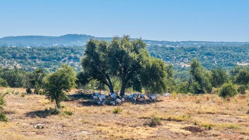 199 N Flat Rock Way, Johnson City, TX, 78636 | Card Image