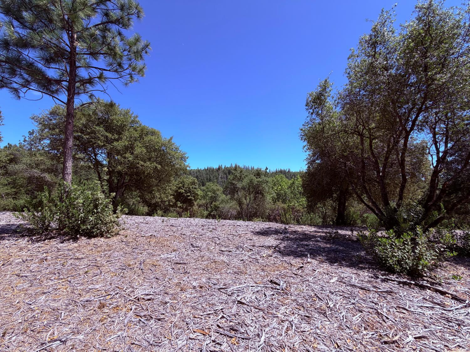 Land in Placerville