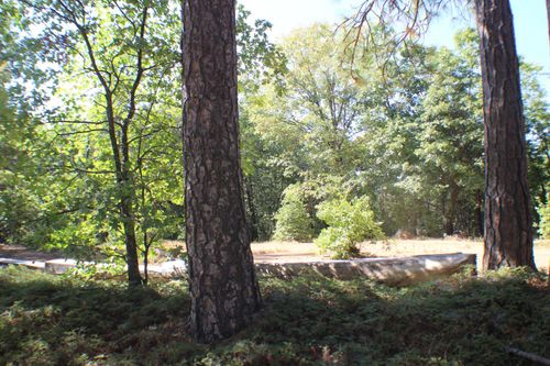 901 Bald Mountain Rd, West Point, CA, 95255-9739 | Card Image