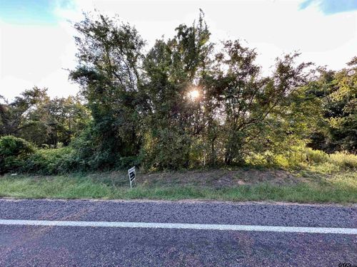 Lot 1 Fm 1519 N, Leesburg, TX, 75451 | Card Image