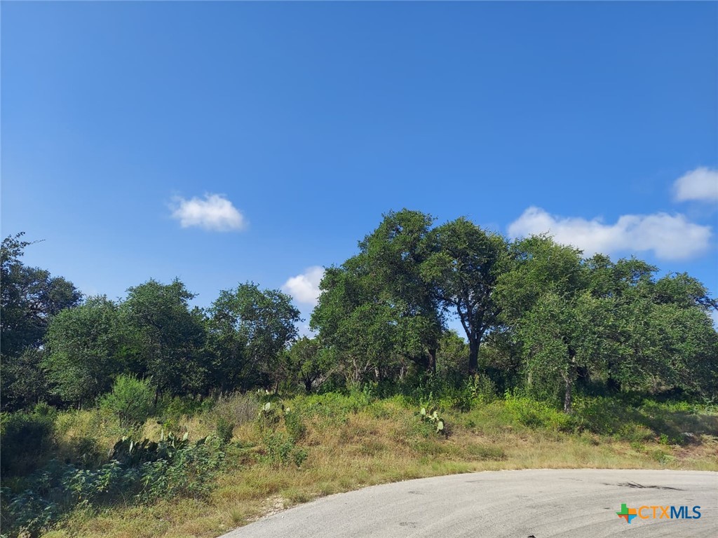 Land in New Braunfels 4