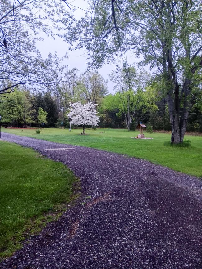 5683 N Tyndall Rd, House other with 5 bedrooms, 4 bathrooms and null parking in Branch MI | Image 42