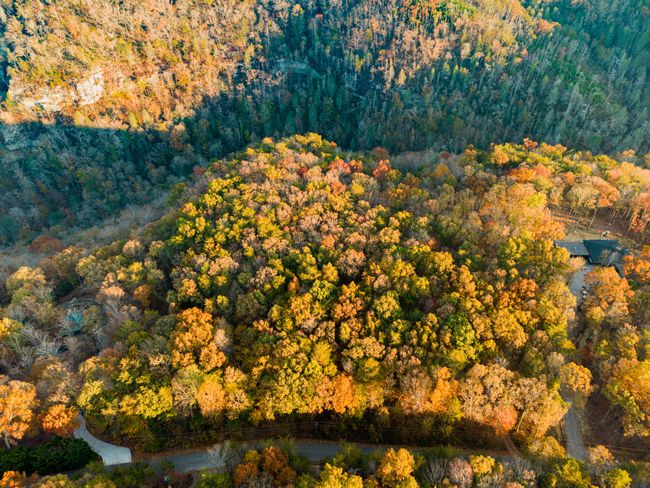 2272 Little Bend Rd, Home with 0 bedrooms, 0 bathrooms and null parking in Signal Mountain TN | Image 7