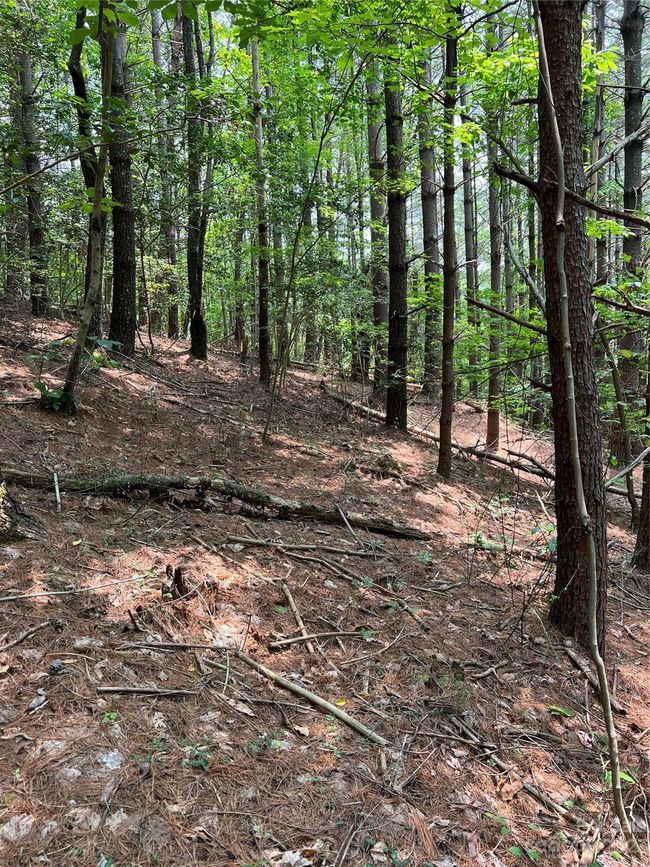 29 - 9589 Shortoff View Ter, Home with 0 bedrooms, 0 bathrooms and null parking in Nebo NC | Image 5
