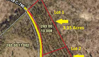 FYF Lot 1 Aerial Map | Image 1