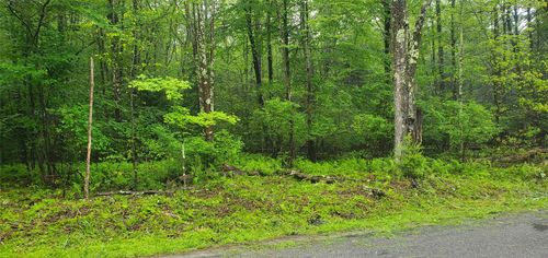 105 Cypert Road, Fallsburg, NY, 12733 | Card Image