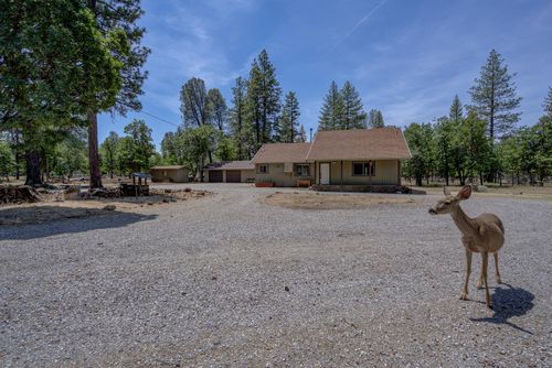 21652 Rattlebush Rd, Cassel, CA, 96016 | Card Image