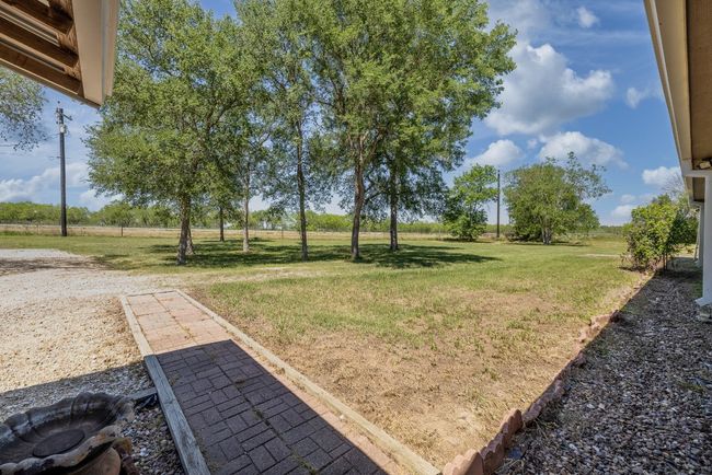 View of yard | Image 31