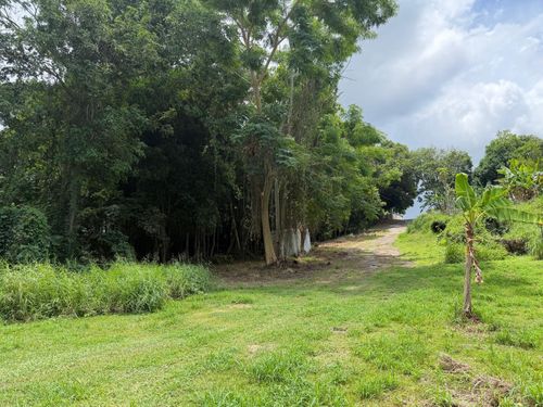 CARR 304 Barrio Jaguitas Ward, HORMIGUEROS, PR, 00660 | Card Image