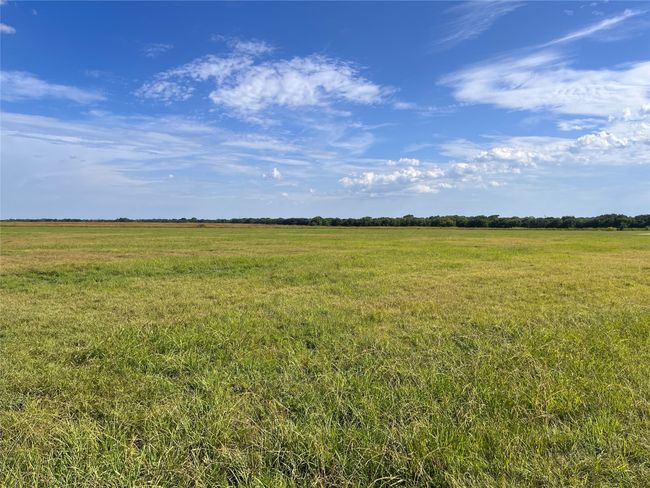 264 Sidewinder Loop, Home with 0 bedrooms, 0 bathrooms and null parking in Red Oak TX | Image 14