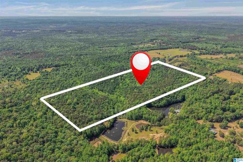 1-0 Lovelady Ln, LAWLEY, AL, 36793 | Card Image