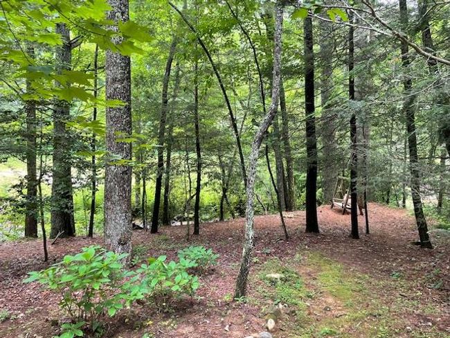 77 Old Covered Bridge Rd, Home with 4 bedrooms, 3 bathrooms and null parking in Cherry Log GA | Image 95