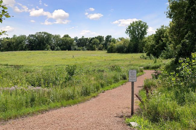WILD Meadows will never be duplicated in Wayzata schools | Image 65