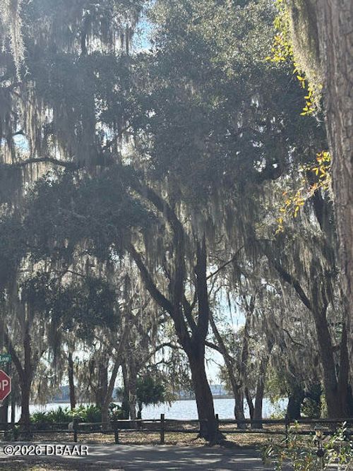 25146 Ne 140th Loop, Salt Springs, FL, 32134 | Card Image