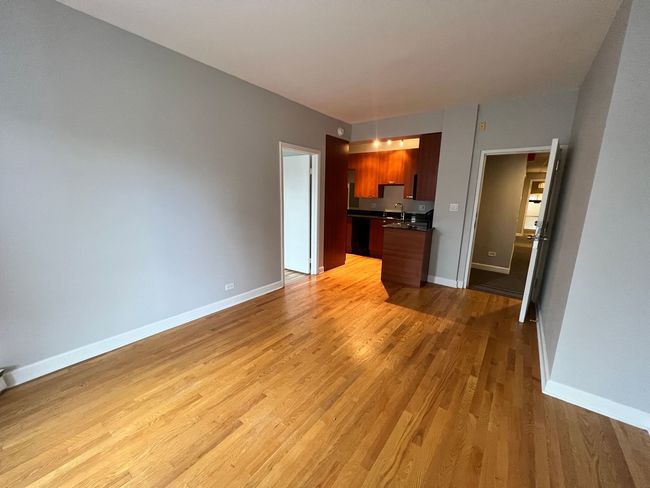 APT-2G - 732 Bittersweet Pl, Condo with 1 bedrooms, 1 bathrooms and null parking in Chicago IL | Image 15
