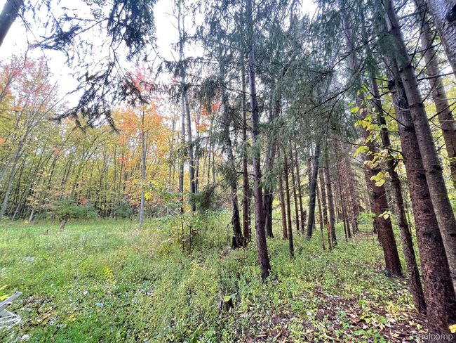 3148 Oneil Rd, House other with 2 bedrooms, 2 bathrooms and null parking in Kenockee MI | Image 61