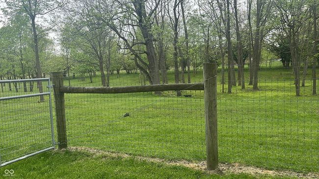 view of yard--notice the sturdy close woven fence that keeps the heads of most any animal from reaching through | Image 37