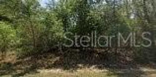 8545 N Wallingford Ave, DUNNELLON, FL, 34434 | Card Image