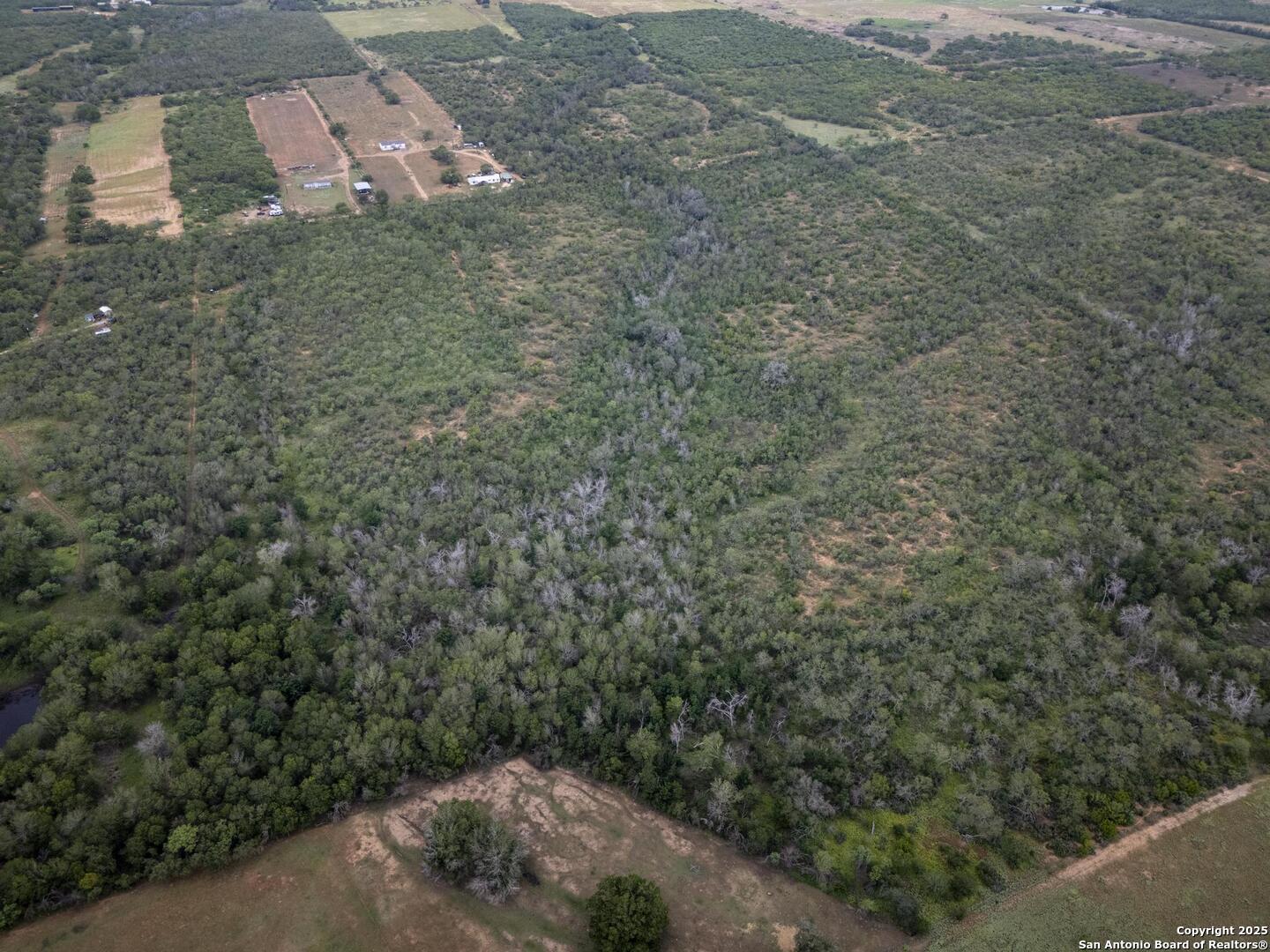 Land in Floresville 5