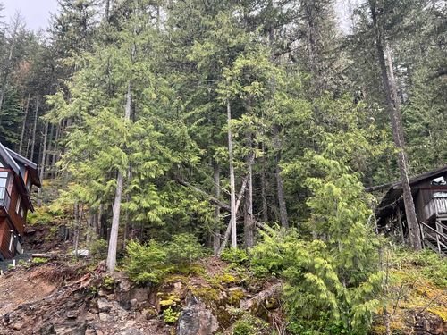 14701 Parkview Ave, Hope, BC, V0X1L5 | Card Image
