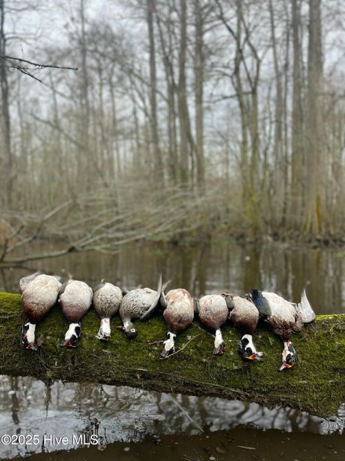 00 Gurman Powell Rd, Kenansville, NC, 28349 | Card Image