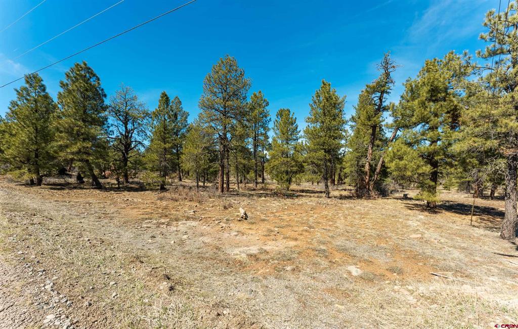 Land in Pagosa Springs 3