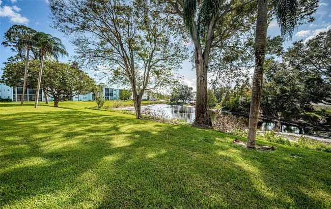 APT-107 - 1450 Heather Ridge Blvd, Condo with 2 bedrooms, 1 bathrooms and null parking in DUNEDIN FL | Image 30