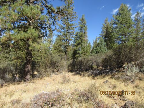 Lot 2 Tiger Ln, Bonanza, OR, 97623 | Card Image